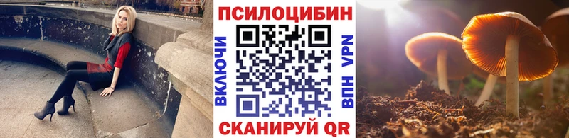 Галлюциногенные грибы MAGIC MUSHROOMS  Купить где  Сурск 